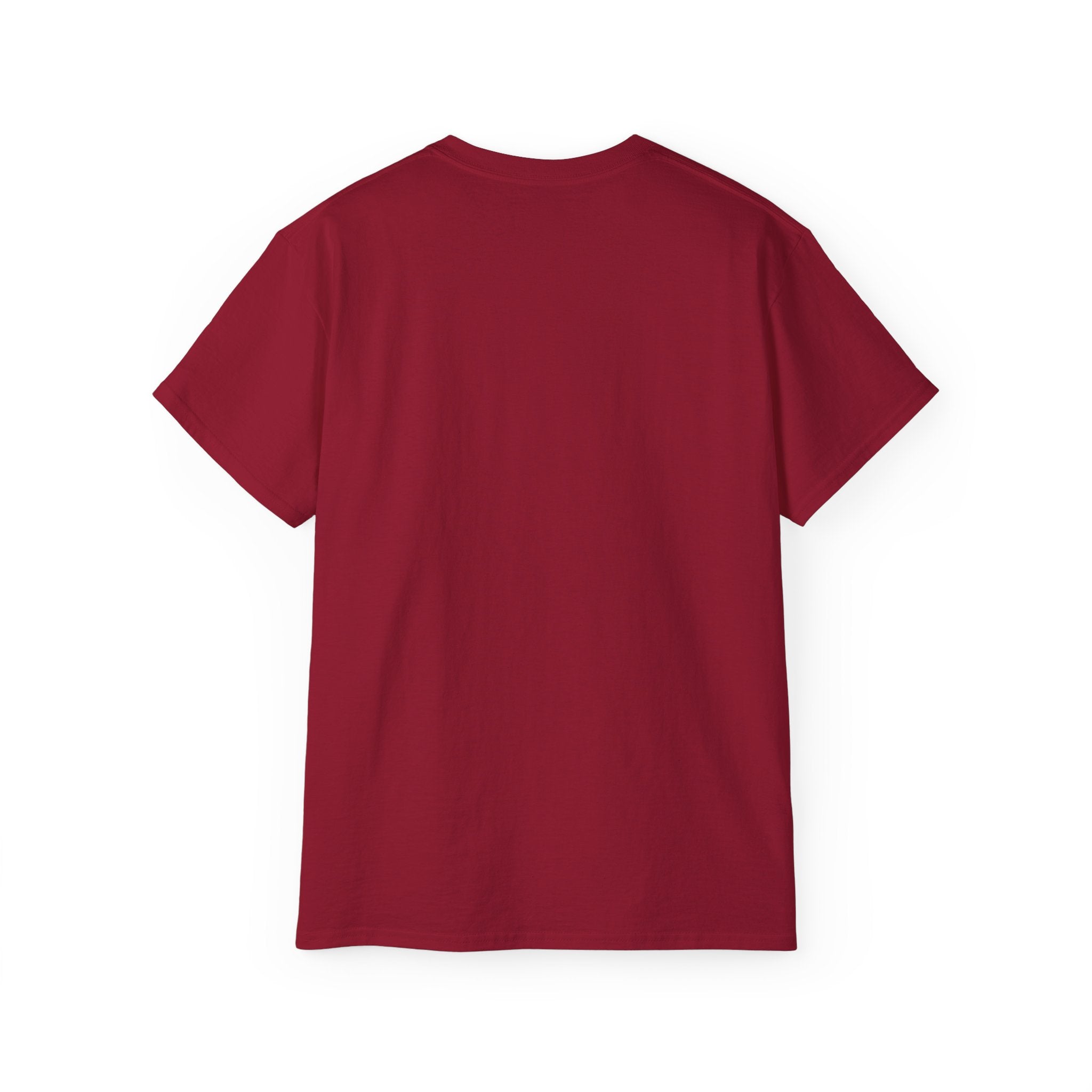 TPS Haitian Pride T-Shirt — “Zandolit La Pran Soufflet La Mezi” Graphic Tee